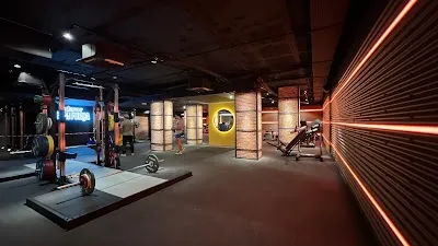 Claror Sardenya - CEM Claror