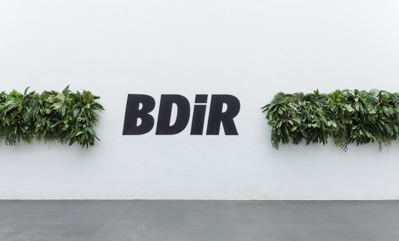 BDiR Mallorca