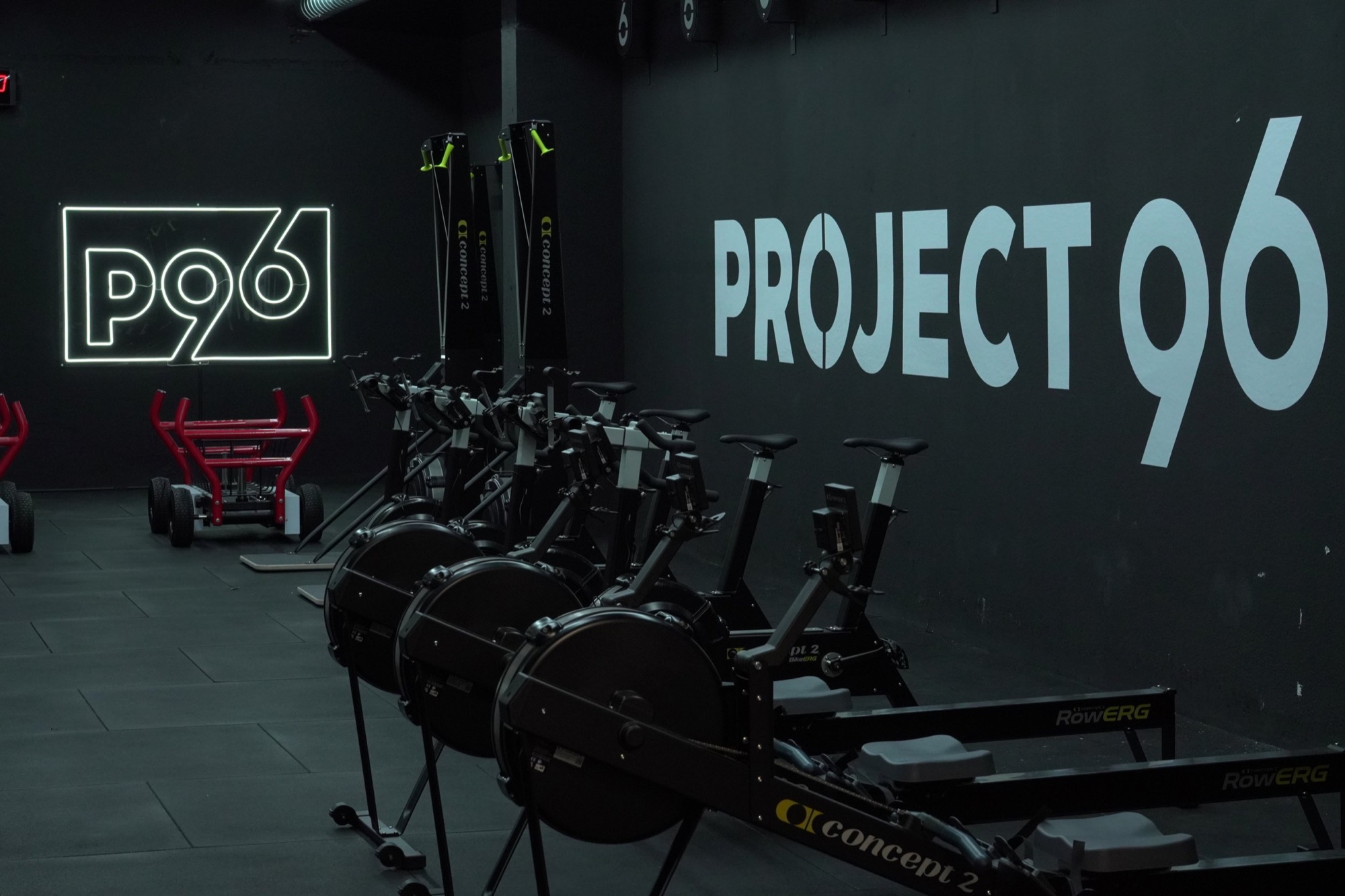Project 96